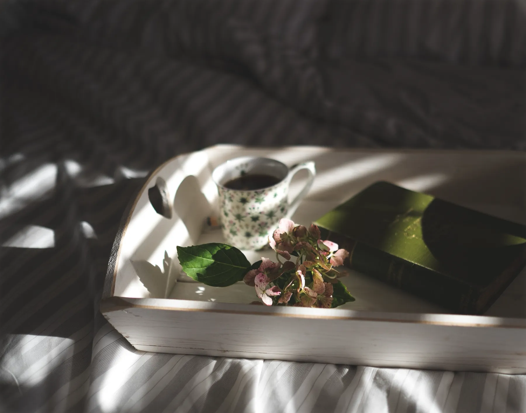 Ruhiges, warmes Stillleben mit Kaffeetasse und Blüten im Morgenlicht — Bildsprache von KK-VISUALS.